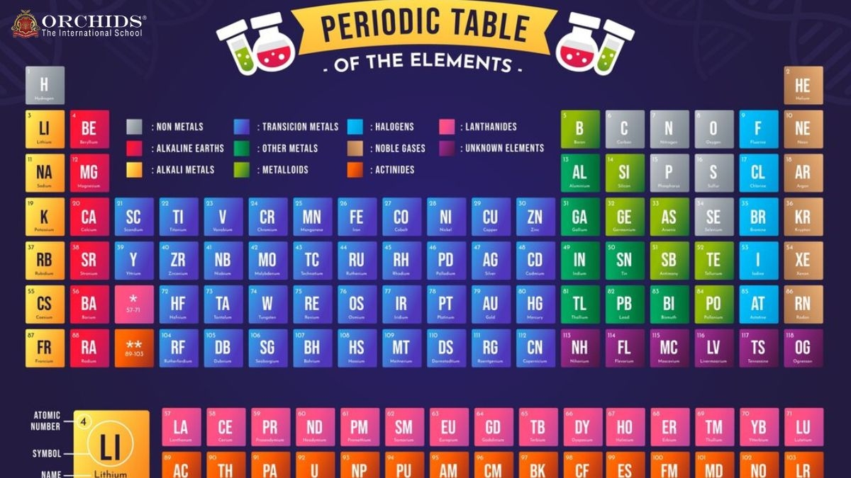 The Alkali Metals: Highly Reactive Elements
