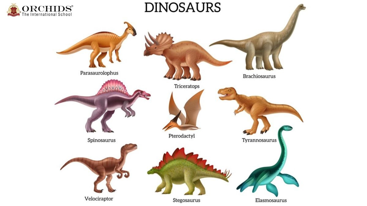 A Journey into the World of Dinosaurs