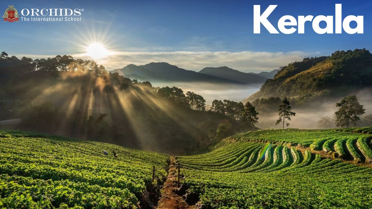 Kerela -God's Own Country