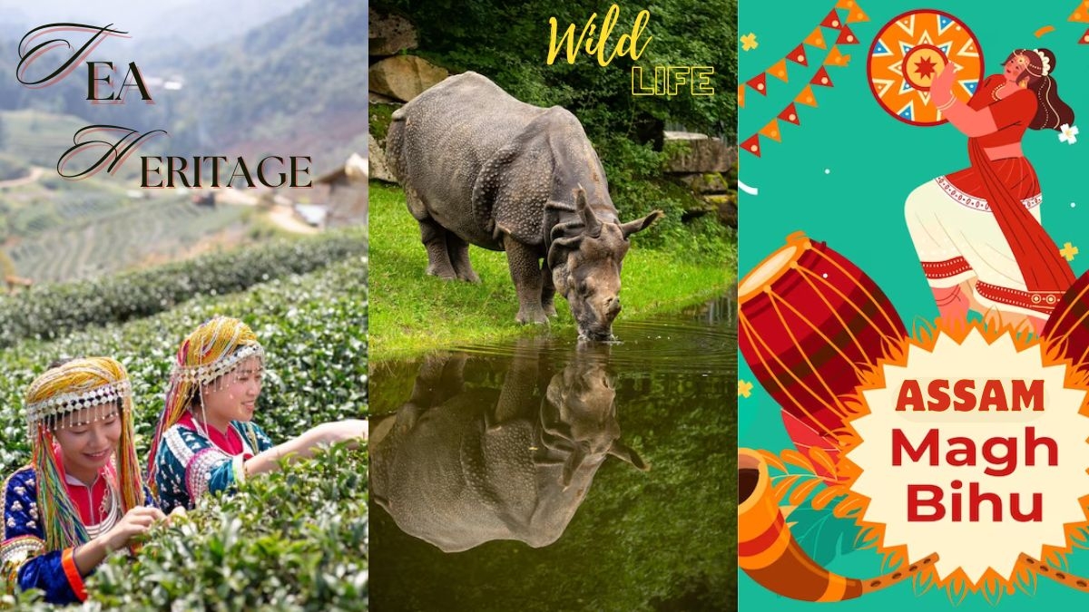 Discovering Assam: Tea Heritage, Wildlife Wonders, and Bihu Revelry