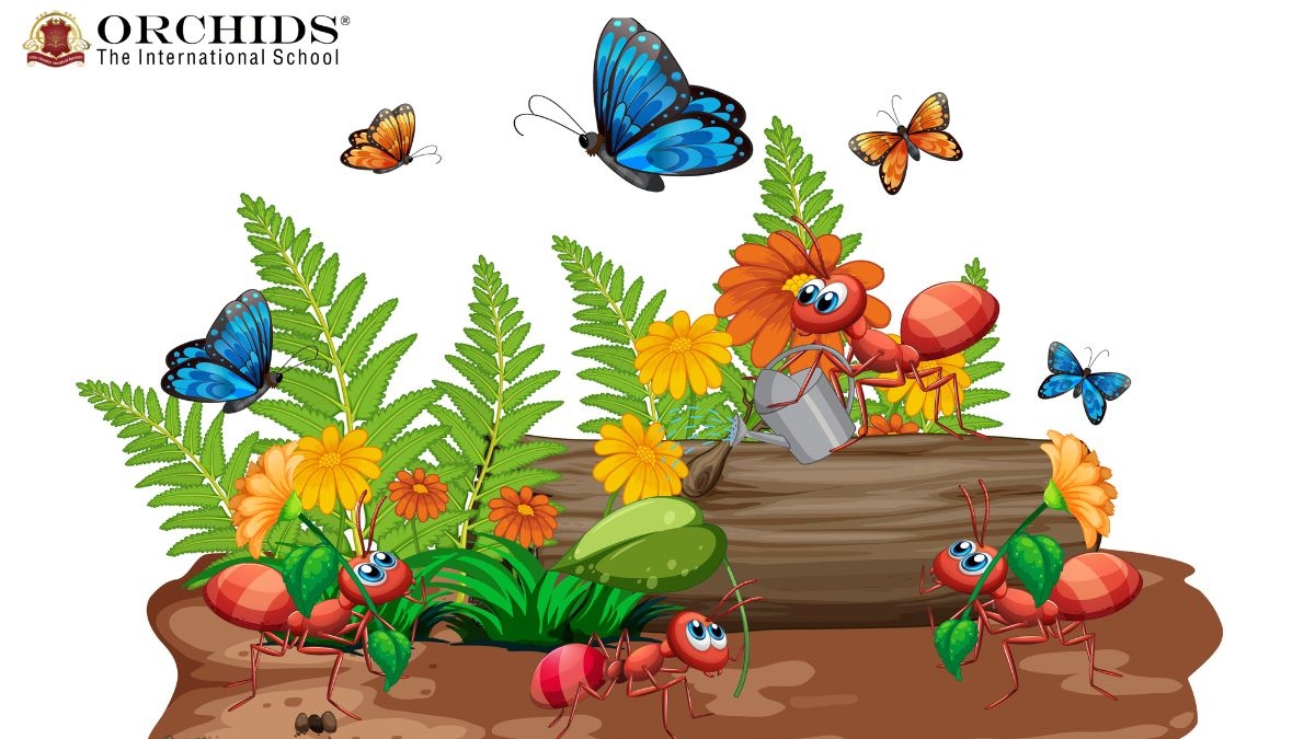 Incredible Insects: The World of Beetles, Butterflies, and Beyond