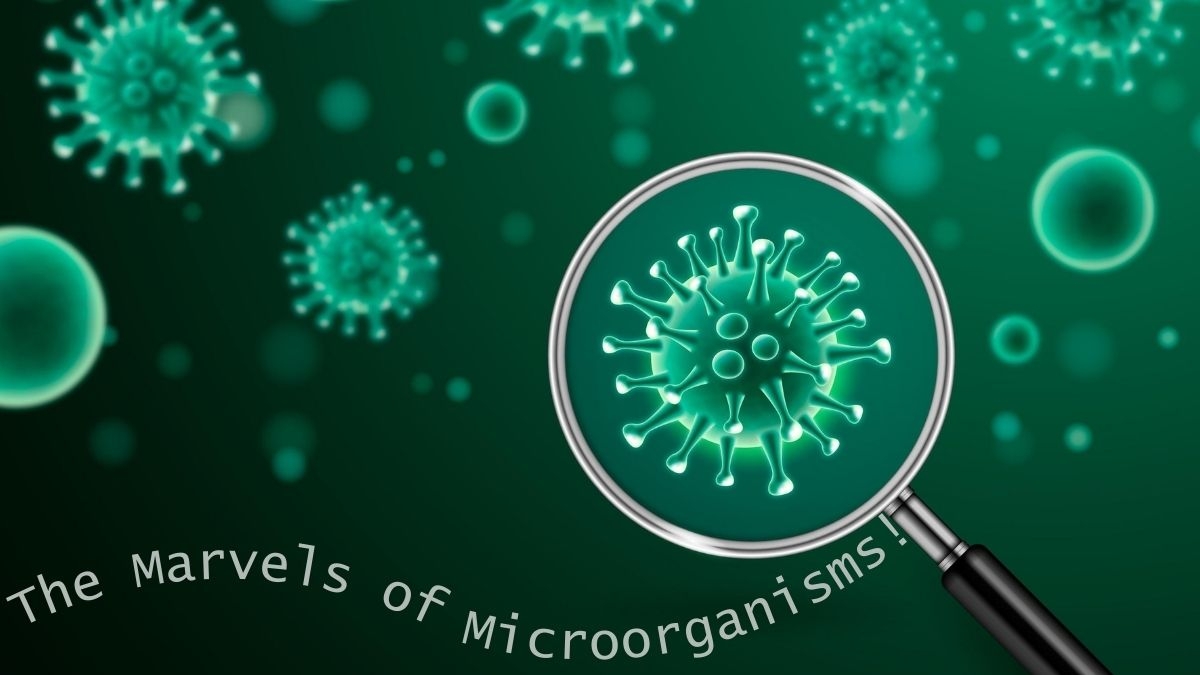 The Marvels of Microorganisms