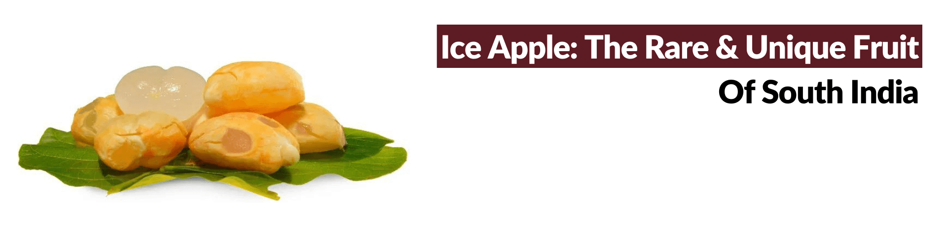 Everything You Need to Know About South Asias Ice Apple!