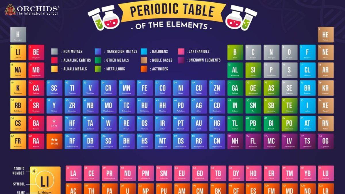 The Alkali Metals: Highly Reactive Elements