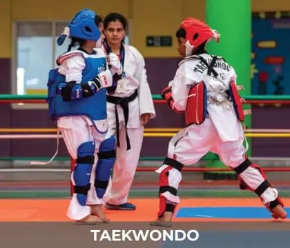 Taekwondo